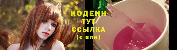 винт Аркадак