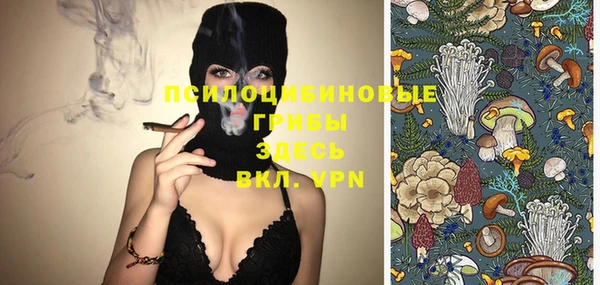 винт Аркадак